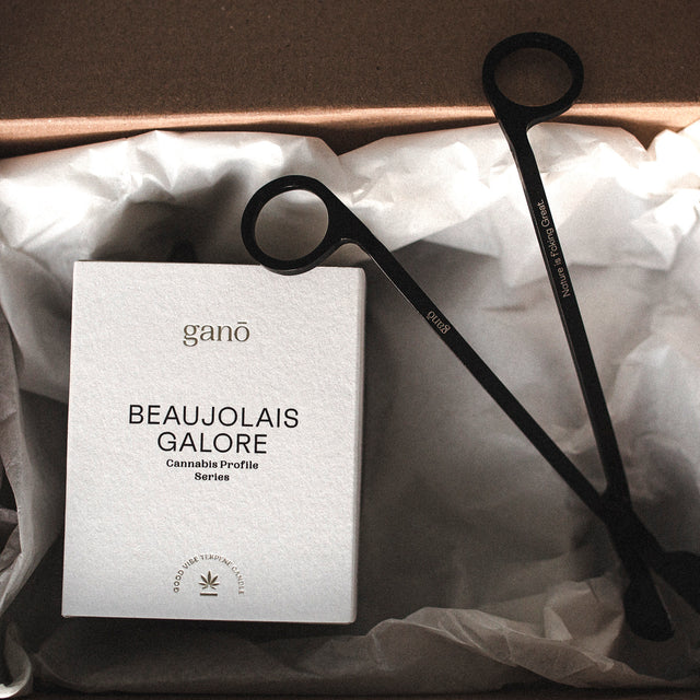 Beaujolais Galore Candle Gift Kit